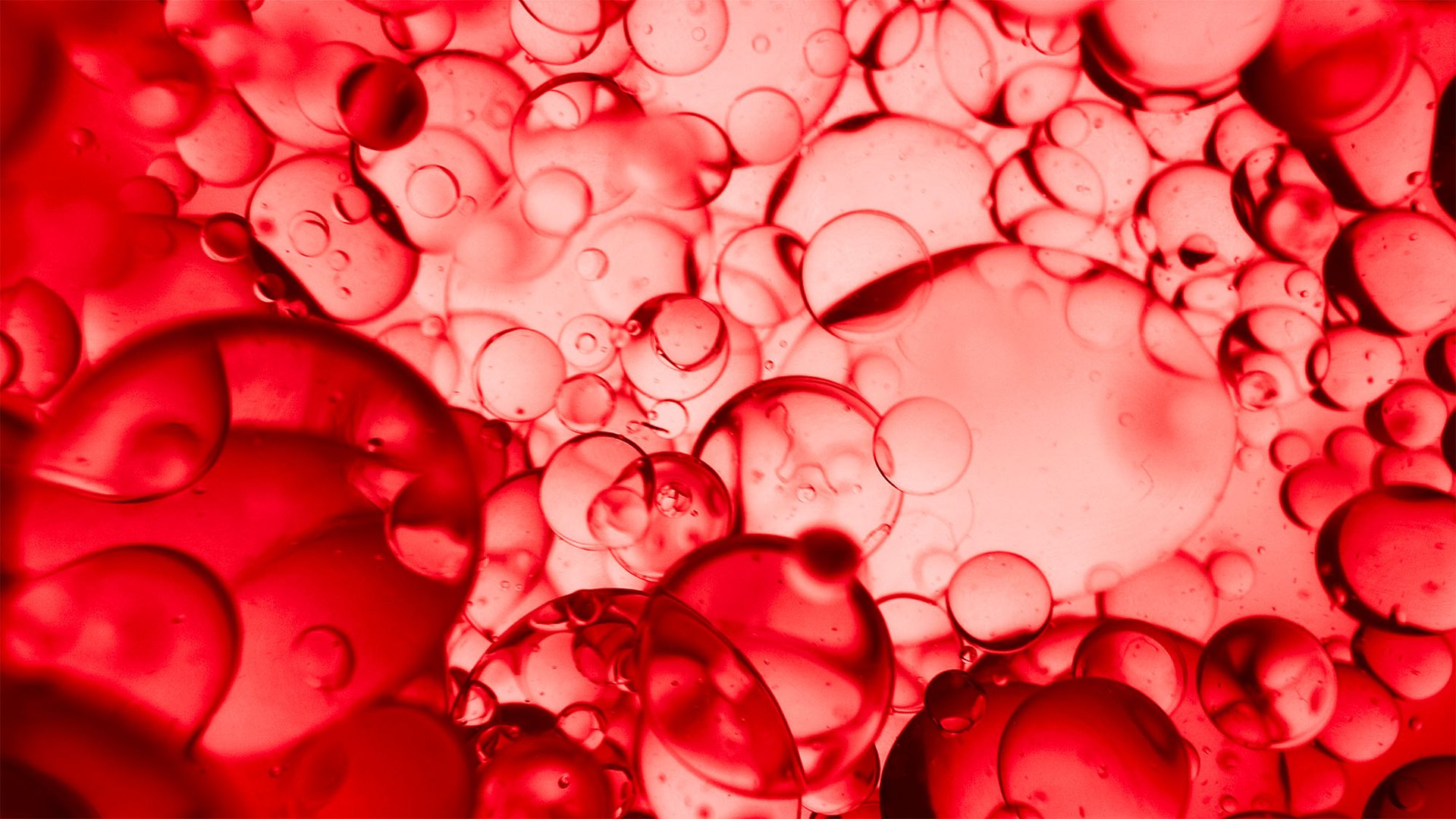 Vichy-Liftactiv-Collagen-Specialist-Photo-Ingredient-Collagen-Specialist-Peptides