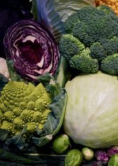 Dieta in menopausa