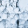 NIACINAMIDE